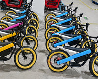ET-03 Electric Bike Two Wheel Ebike 800W 36V 15AH