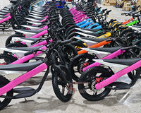 ET-03 Electric Bike Two Wheel Ebike 800W 36V 15AH