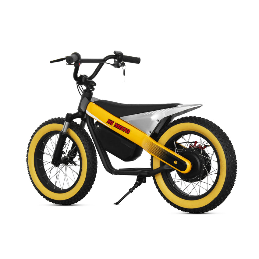 ET-03 Electric Bike Two Wheel Ebike 800W 36V 15AH