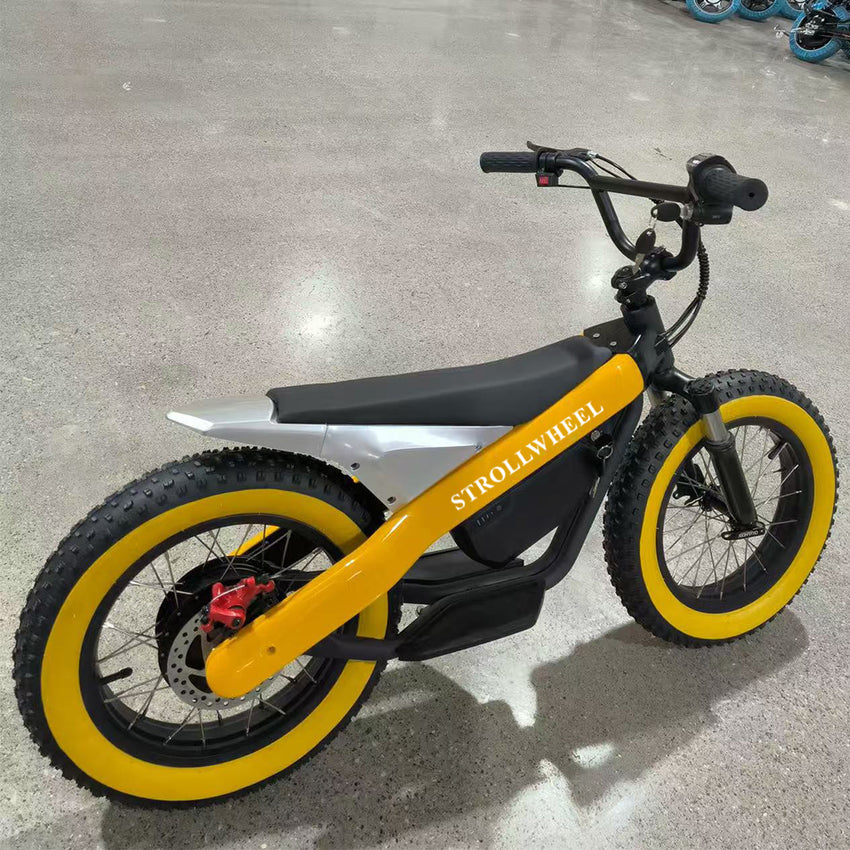 ET-03 Electric Bike Two Wheel Ebike 800W 36V 15AH