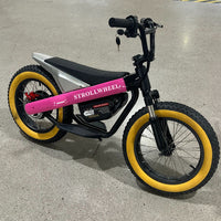 ET-03 Electric Bike Two Wheel Ebike 800W 36V 15AH