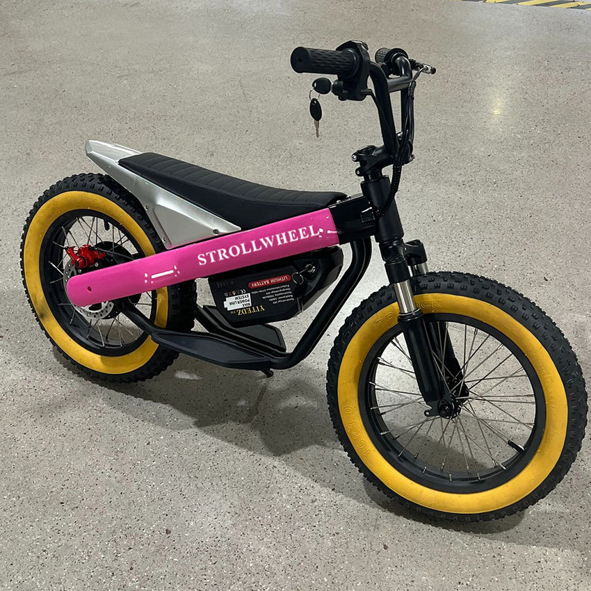ET-03 Electric Bike Two Wheel Ebike 800W 36V 15AH