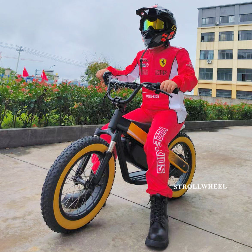 ET-03 Electric Bike Two Wheel Ebike 800W 36V 15AH