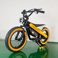 ET-03 Electric Bike Two Wheel Ebike 800W 36V 15AH