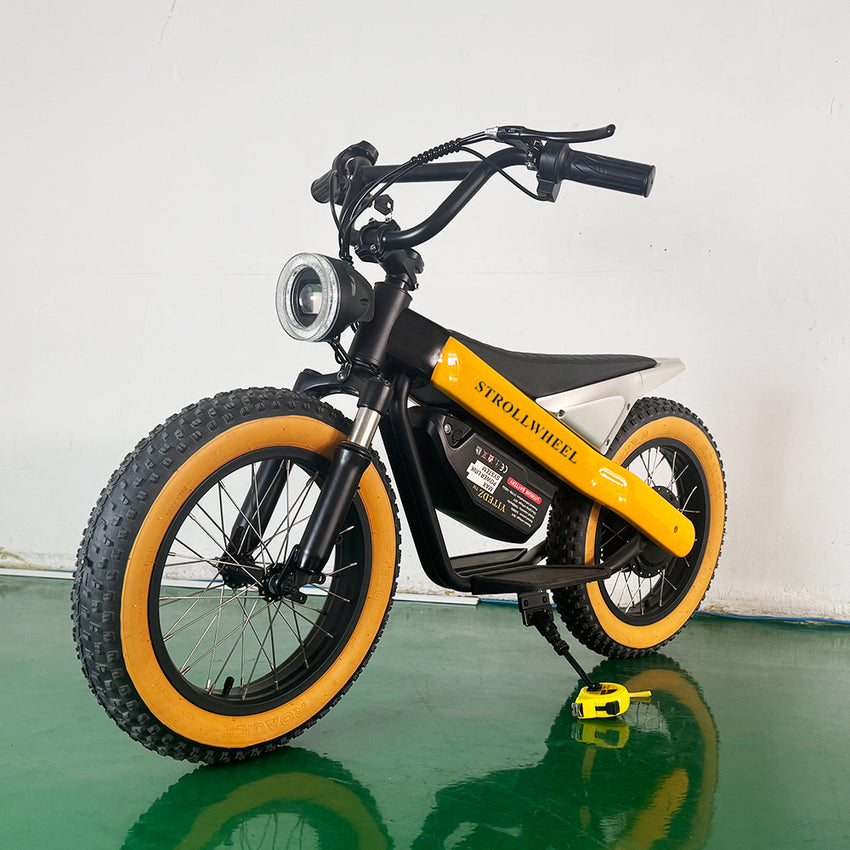 ET-03 Electric Bike Two Wheel Ebike 800W 36V 15AH