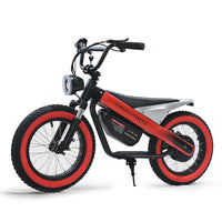 ET-03 Electric Bike Two Wheel Ebike 800W 36V 15AH