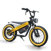 ET-03 Electric Bike Two Wheel Ebike 800W 36V 15AH