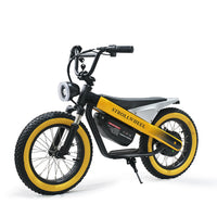 ET-03 Electric Bike Two Wheel Ebike 800W 36V 15AH
