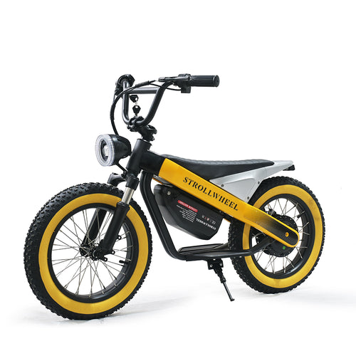 ET-03 Electric Bike Two Wheel Ebike 800W 36V 15AH
