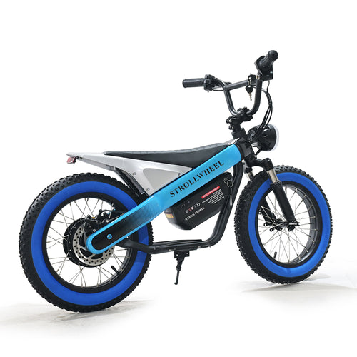 ET-03 Electric Bike Two Wheel Ebike 800W 36V 15AH