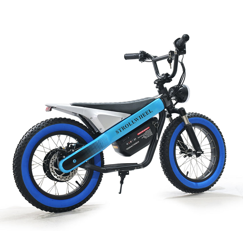 ET-03 Electric Bike Two Wheel Ebike 800W 36V 15AH