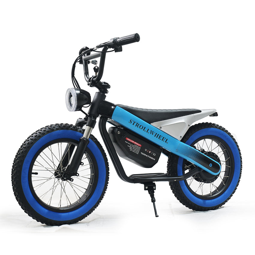 ET-03 Electric Bike Two Wheel Ebike 800W 36V 15AH