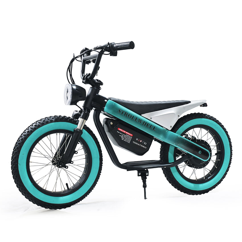 ET-03 Electric Bike Two Wheel Ebike 800W 36V 15AH
