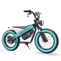 ET-03 Electric Bike Two Wheel Ebike 800W 36V 15AH