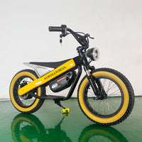 ET-03 Electric Bike Two Wheel Ebike 800W 36V 15AH