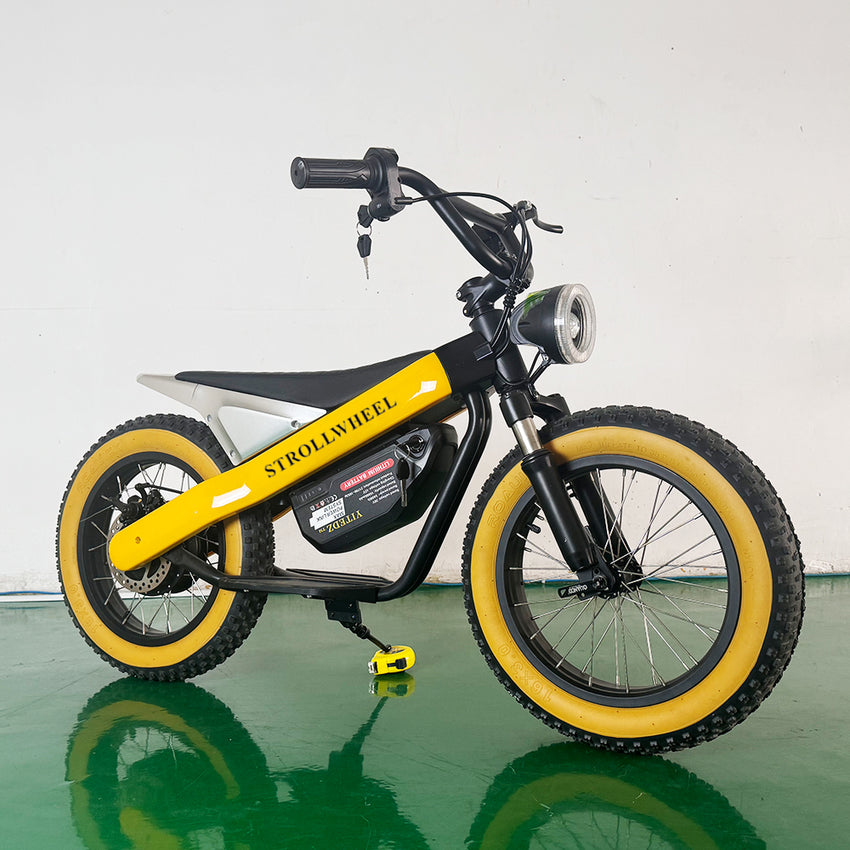 ET-03 Electric Bike Two Wheel Ebike 800W 36V 15AH