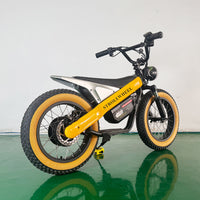 ET-03 Electric Bike Two Wheel Ebike 800W 36V 15AH