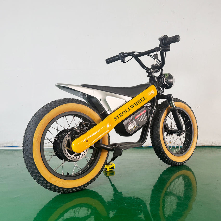 ET-03 Electric Bike Two Wheel Ebike 800W 36V 15AH