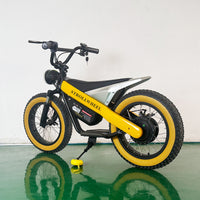 ET-03 Electric Bike Two Wheel Ebike 800W 36V 15AH