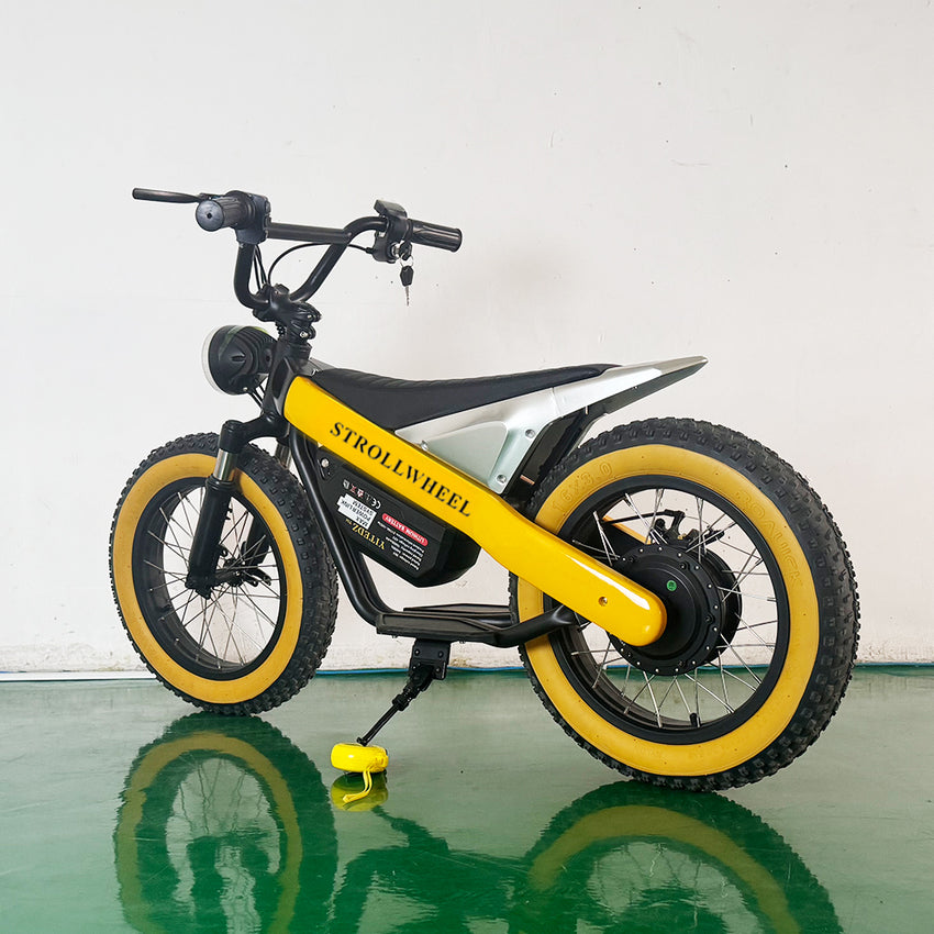 ET-03 Electric Bike Two Wheel Ebike 800W 36V 15AH