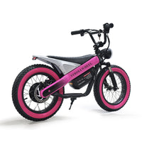 ET-03 Electric Bike Two Wheel Ebike 800W 36V 15AH