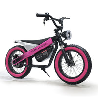 ET-03 Electric Bike Two Wheel Ebike 800W 36V 15AH