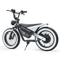 ET-03 Electric Bike Two Wheel Ebike 800W 36V 15AH