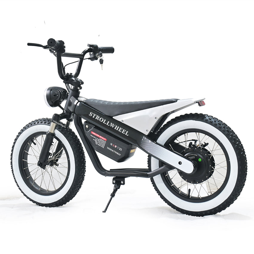ET-03 Electric Bike Two Wheel Ebike 800W 36V 15AH