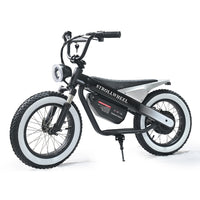 ET-03 Electric Bike Two Wheel Ebike 800W 36V 15AH