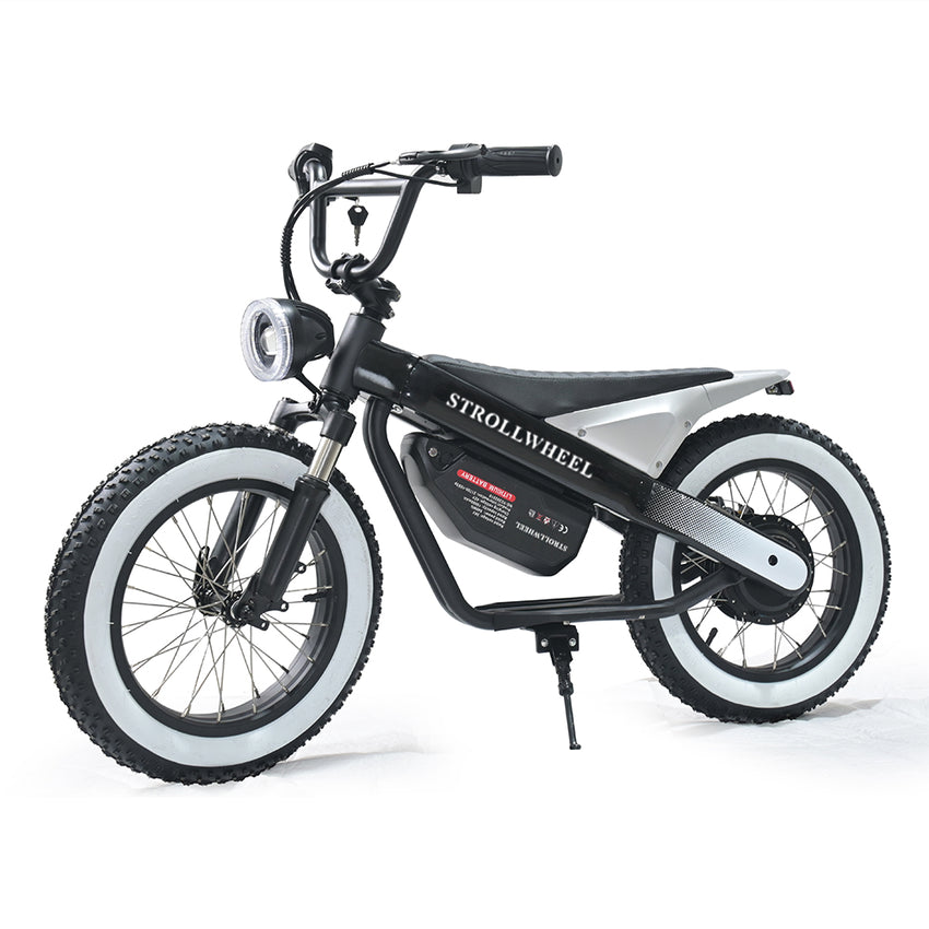 ET-03 Electric Bike Two Wheel Ebike 800W 36V 15AH