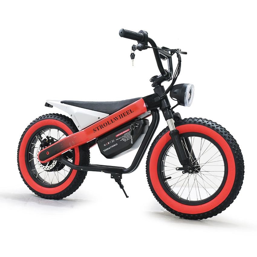 ET-03 Electric Bike Two Wheel Ebike 800W 36V 15AH
