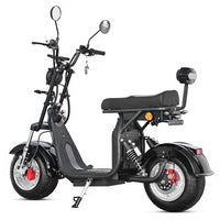 M4 Strollwheel Electric Mini Citycoco 1000W 60V 12Ah Lithium Battery Brazil Scooter