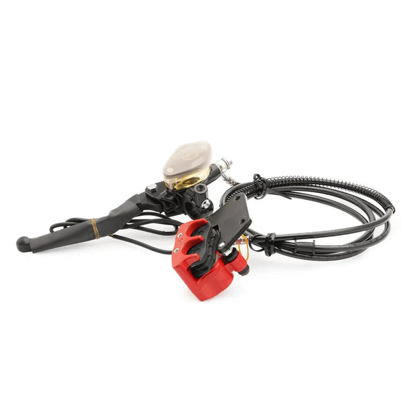 Mangosteen E Scooter Brake Adjustment Whole Set