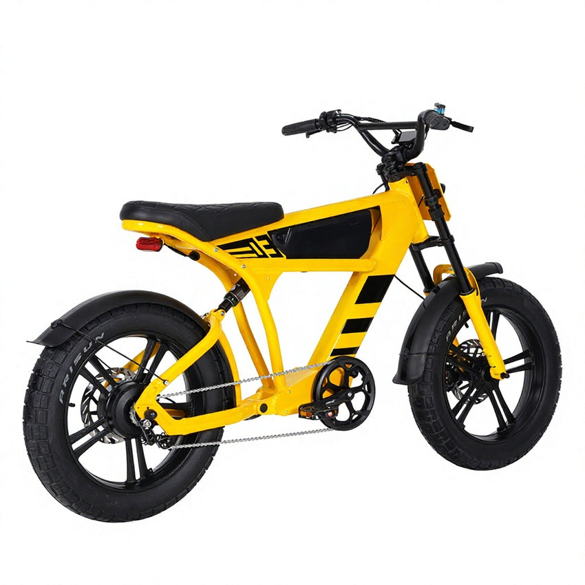 USA Warehouse Mangosteen FT03 750W 48V 18.2Ah Electric City Fat Tire Bike