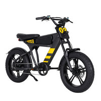 USA Warehouse Mangosteen FT03 750W 48V 18.2Ah Electric City Fat Tire Bike