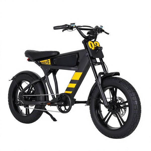 Switzerland Warehouse FT03 750W 48V 18.2Ah Electric City Fat Tire Bike