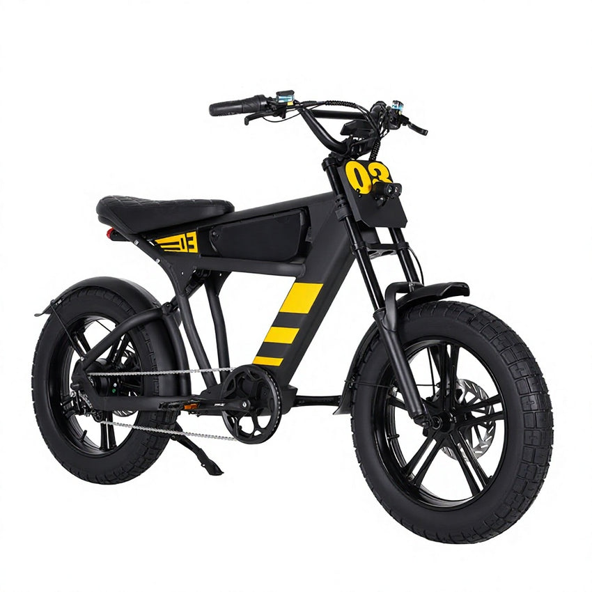 USA Warehouse Mangosteen FT03 750W 48V 18.2Ah Electric City Fat Tire Bike