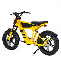 Switzerland Warehouse FT03 750W 48V 18.2Ah Electric City Fat Tire Bike