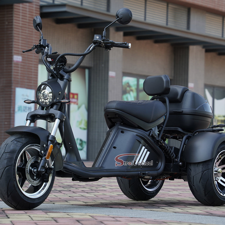 M2 Mangosteen Tricycle EEC COC Electric Chopper Scooter Citycoco
