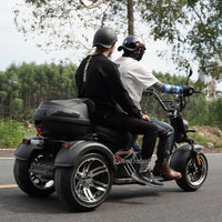 M2 Mangosteen Tricycle EEC COC Electric Chopper Scooter Citycoco
