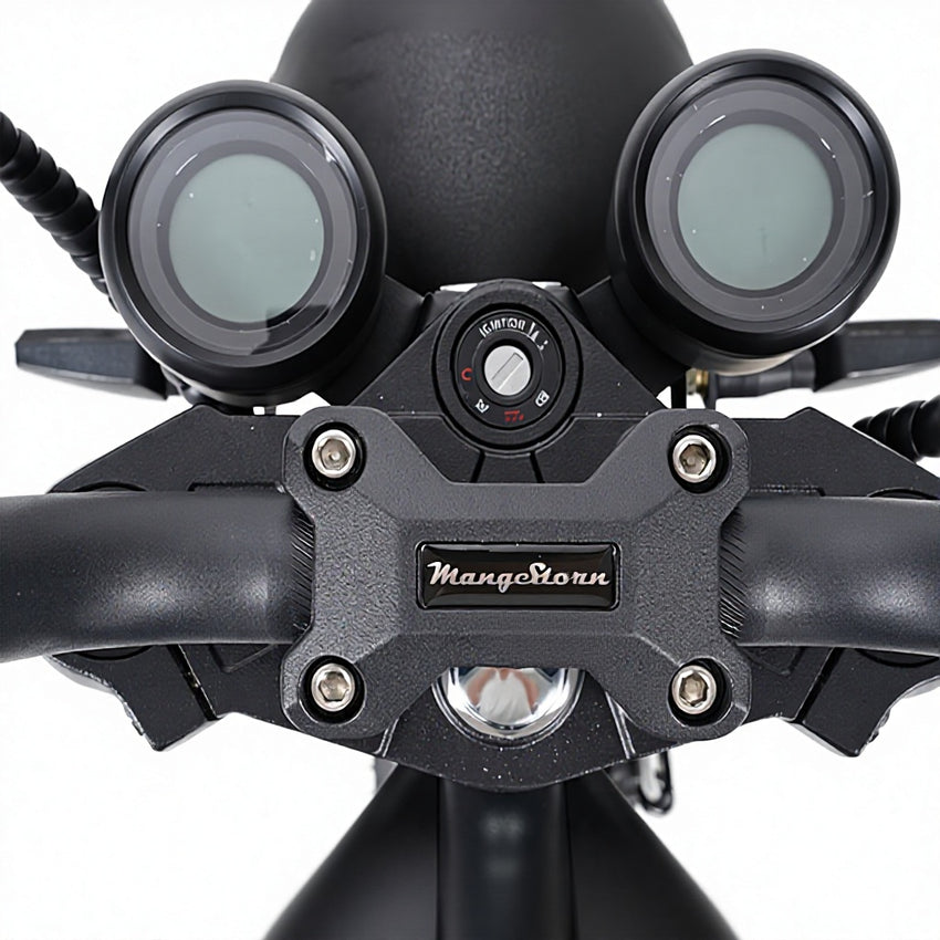 Germany Warehouse M1P 2000W 60V 30Ah Scooter Electric Citycoco Chopper Front Tire 14 Inch Rear 13 Inch