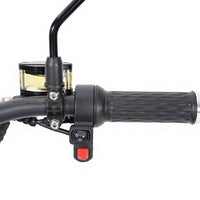 Germany Warehouse M1P 2000W 60V 30Ah Scooter Electric Citycoco Chopper Front Tire 14 Inch Rear 13 Inch