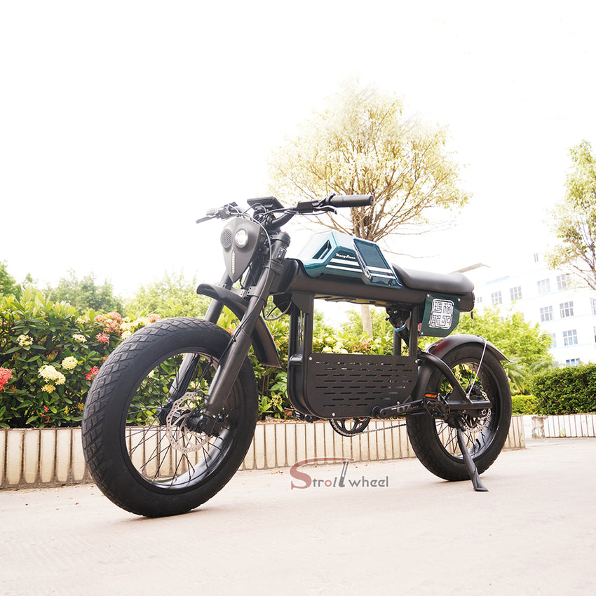 USA Warehouse FT-01 1500W 52V 27Ah Off Road Ebike Electric City Bike Fast Delivery
