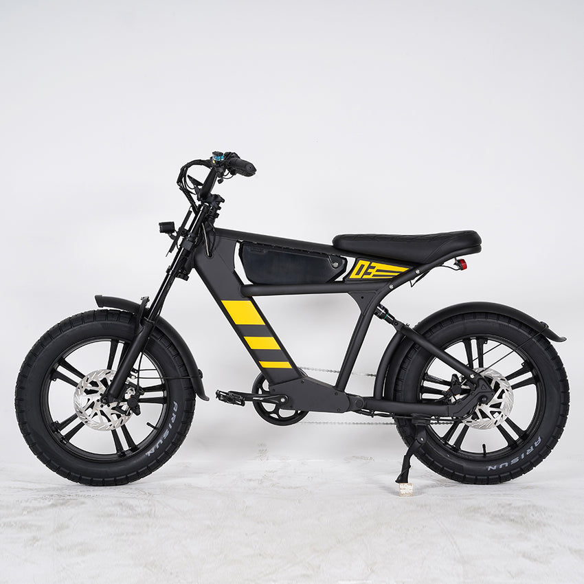 USA Warehouse Mangosteen FT03 750W 48V 18.2Ah Electric City Fat Tire Bike