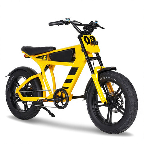 Switzerland Warehouse FT03 750W 48V 18.2Ah Electric City Fat Tire Bike