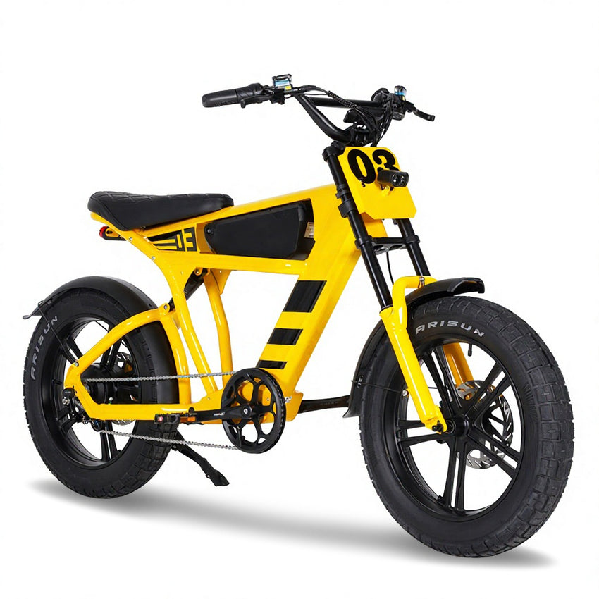 USA Warehouse Mangosteen FT03 750W 48V 18.2Ah Electric City Fat Tire Bike