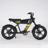 USA Warehouse Mangosteen FT03 750W 48V 18.2Ah Electric City Fat Tire Bike