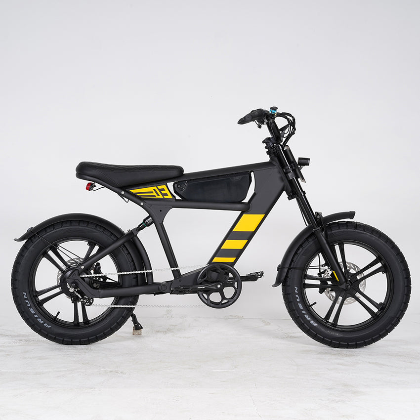 USA Warehouse Mangosteen FT03 750W 48V 18.2Ah Electric City Fat Tire Bike