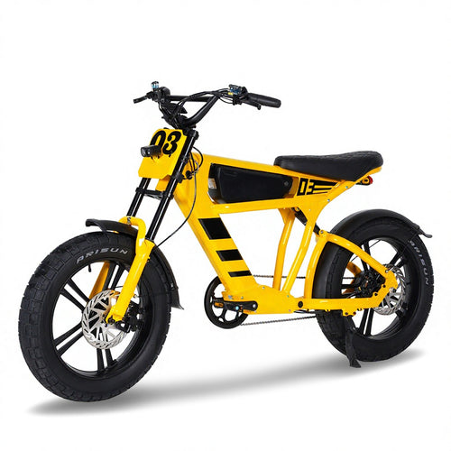 Switzerland Warehouse FT03 750W 48V 18.2Ah Electric City Fat Tire Bike
