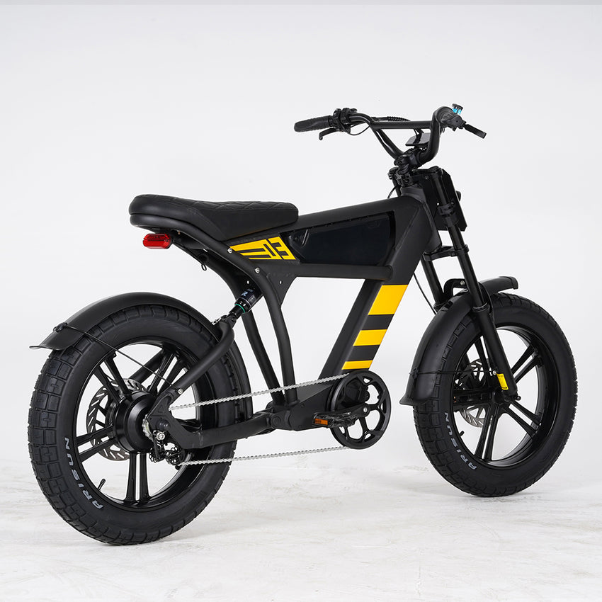 USA Warehouse Mangosteen FT03 750W 48V 18.2Ah Electric City Fat Tire Bike